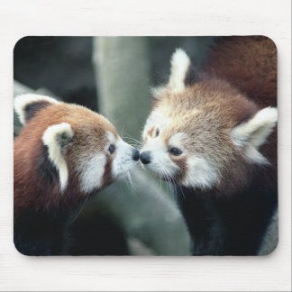 Red Panda #1-Mousepad Mouse Mat