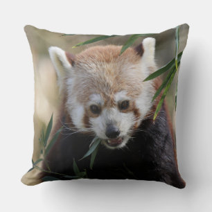 Red_Panda_2015_0311 Cushion