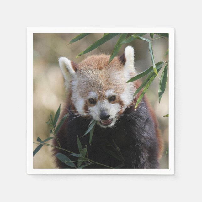 Red_Panda_2015_0311 Napkin (Front)