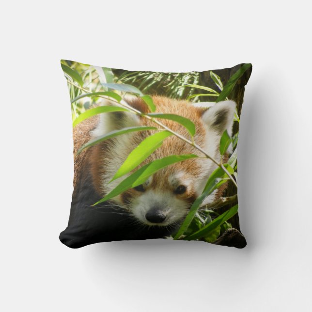 Red Panda 415P2 Cushion (Front)