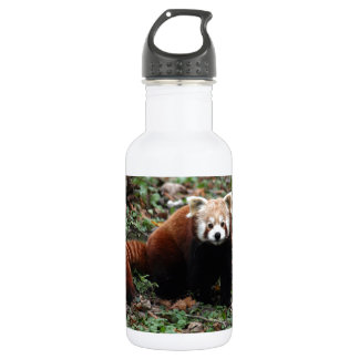 Red Panda 532 Ml Water Bottle