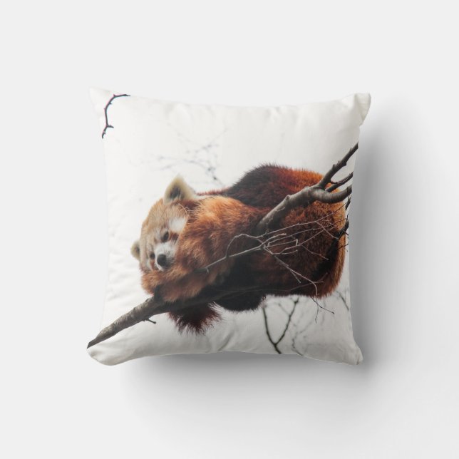 Red Panda American Mojo Pillow (Front)