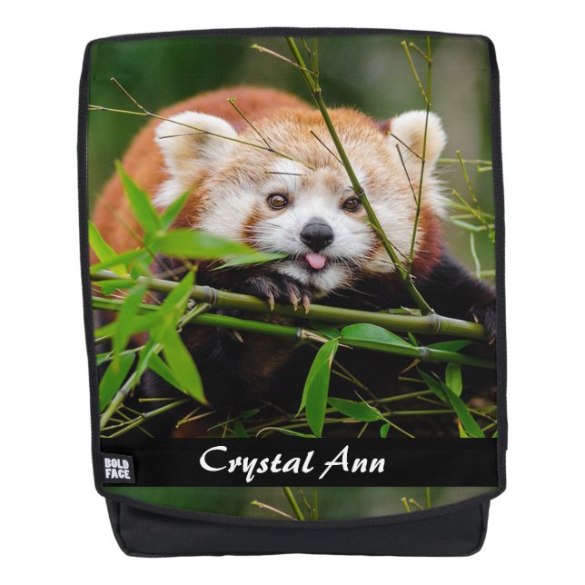 Red Panda Backpack (Front)