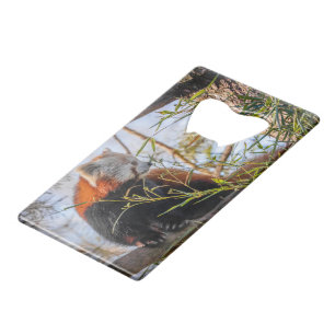 Red panda bar key