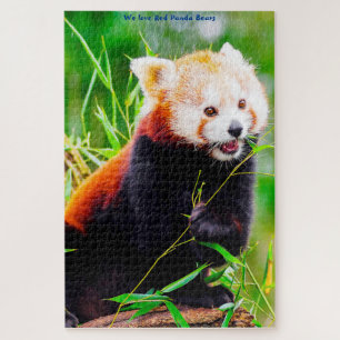 Red Panda Bears. Jigsaw Puzzle