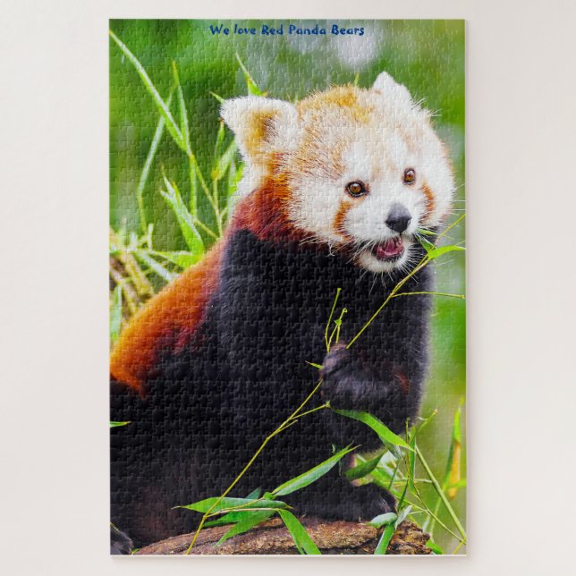 Red Panda Bears. Jigsaw Puzzle (Vertical)