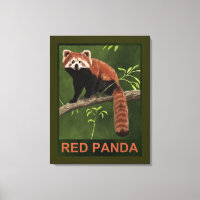 Red Panda