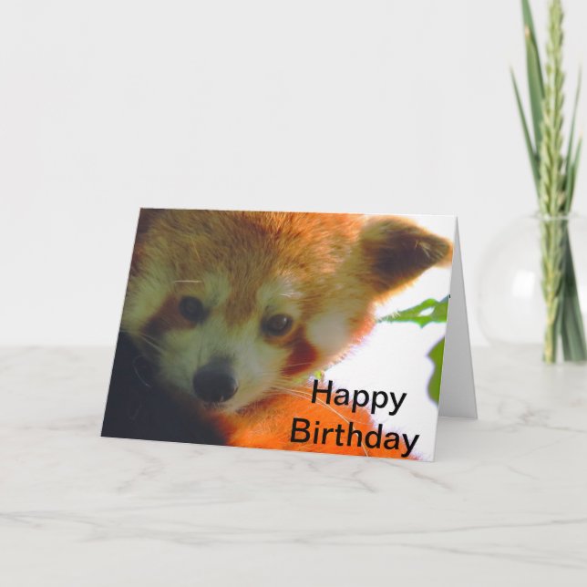 red panda card (Front)