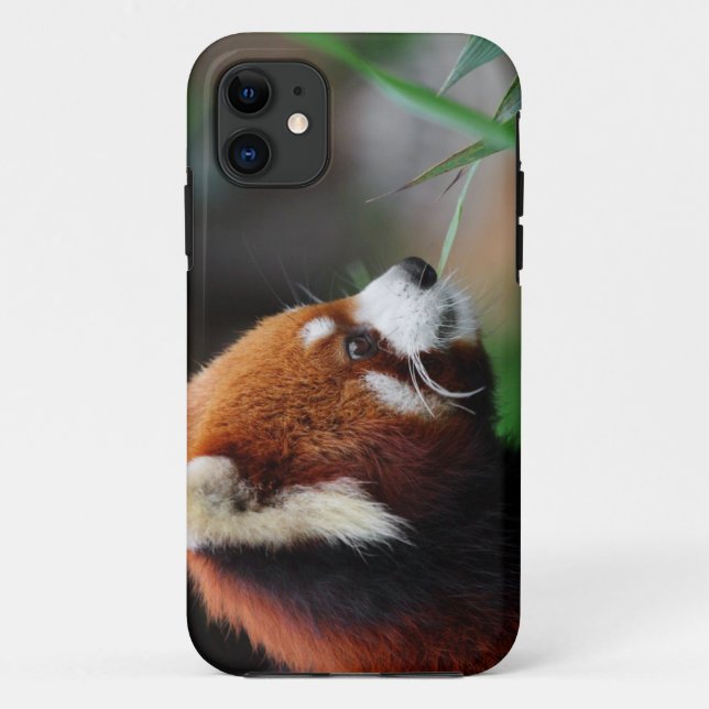 Red panda Case-Mate iPhone case (Back)
