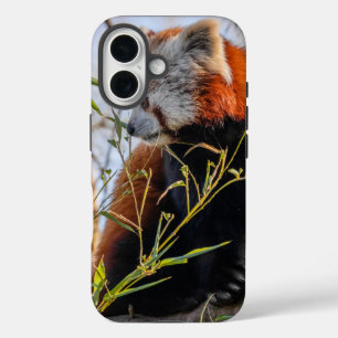 Red panda iPhone 16 case