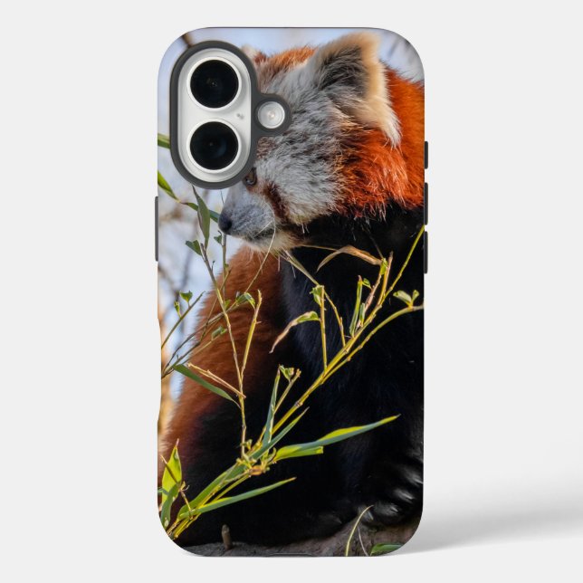 Red panda Case-Mate iPhone case (Back)