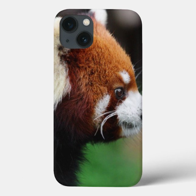 Red panda Case-Mate iPhone case (Back)