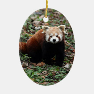 Red Panda Ceramic Tree Decoration