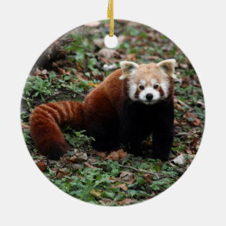 Red Panda Ceramic Tree Decoration