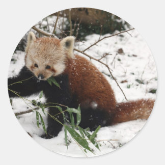 Red panda classic round sticker