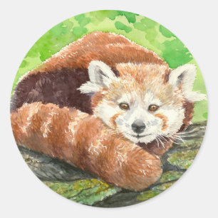 Red panda classic round sticker