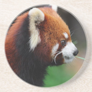 Red panda coaster