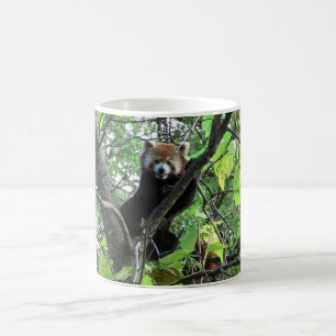 Red Panda Coffee Mug