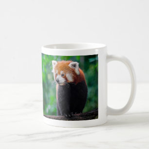 Red Panda Coffee Mug