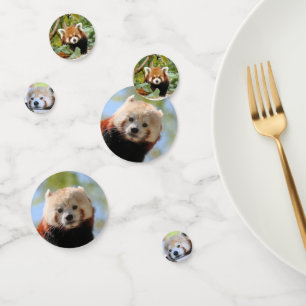 Red Panda Confetti