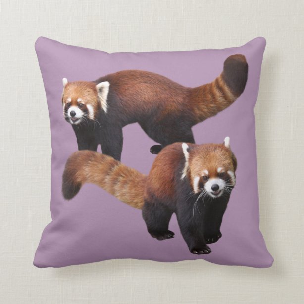 Red Panda Gifts & Gift Ideas | Zazzle UK