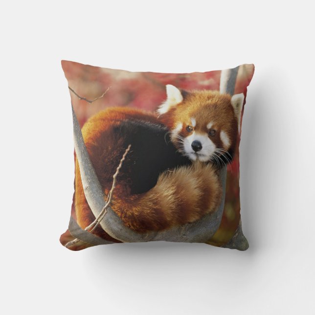 Red Panda Cushion (Front)
