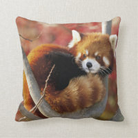 Red Panda Gifts & Gift Ideas | Zazzle UK