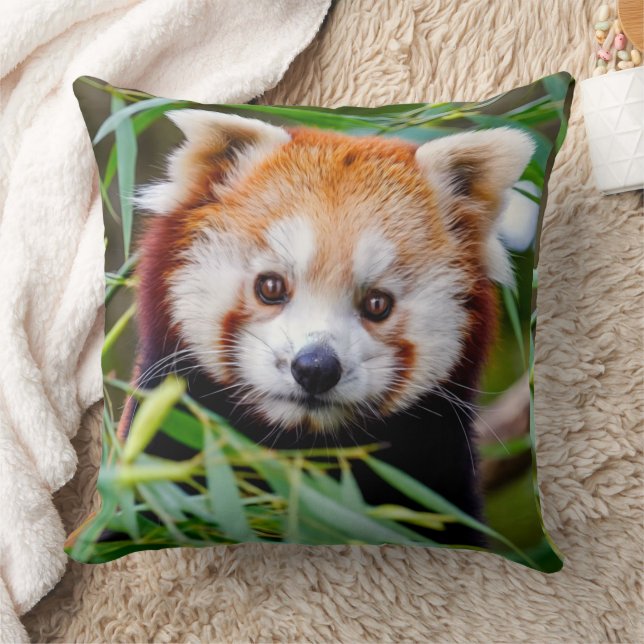 Red Panda  Cushion (Blanket)