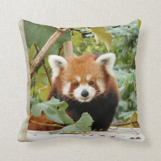 Red Panda Cushion
