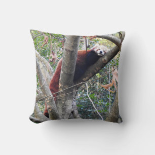 Red Panda Cushion
