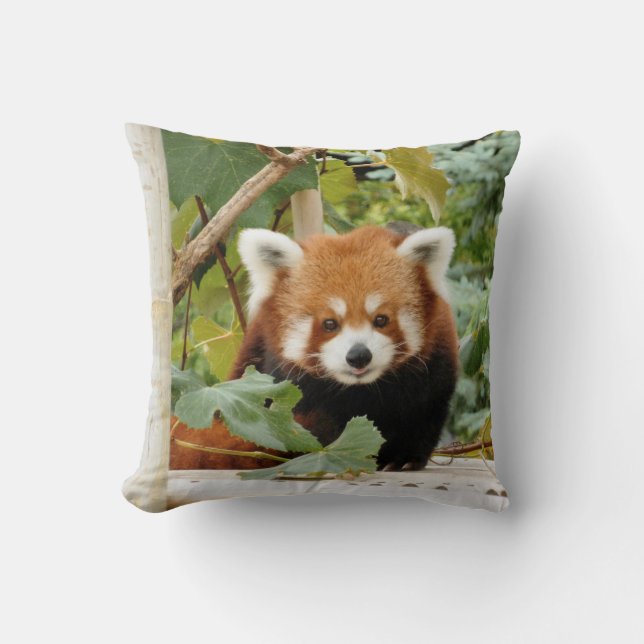 Red Panda Cushion (Front)