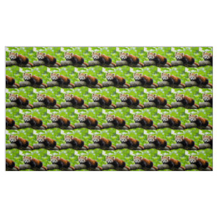 Red Panda Fabric