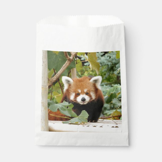 Red Panda Favour Bags (Front)