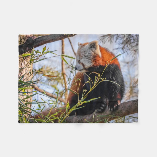 Red panda fleece blanket (Front (Horizontal))