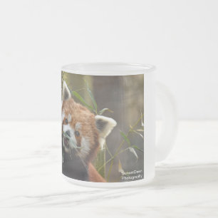 Red Panda Frosted Glass Coffee Mug