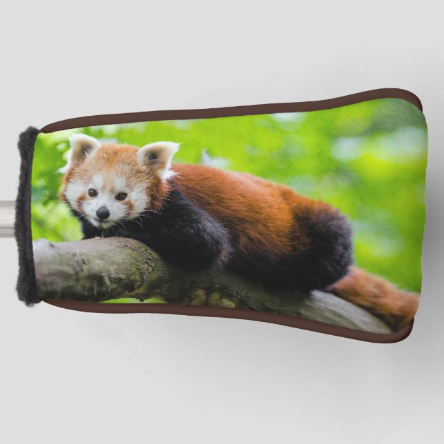 Red Panda Golf Head Cover (Front)