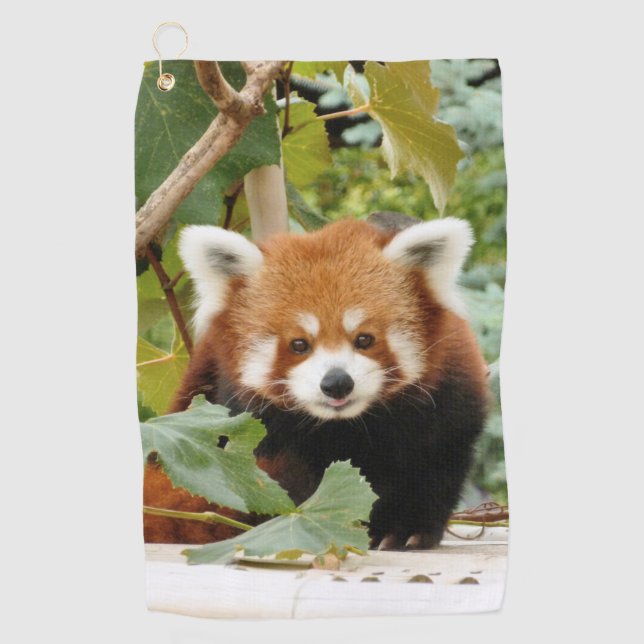 Red Panda  Golf Towel (Front)