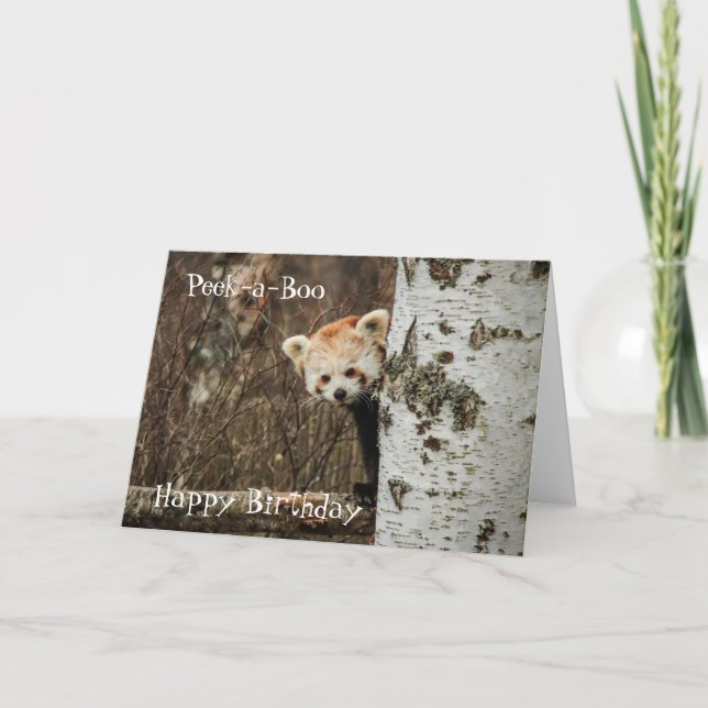 Red Panda Happy Birthday Card (Front)