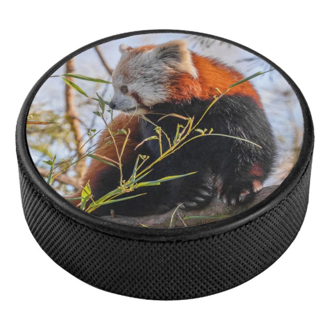 Red panda hockey puck (3/4)