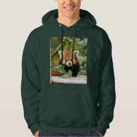 Red Panda