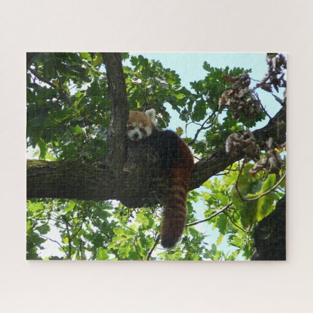Red panda in a tree jigsaw puzzle (Horizontal)