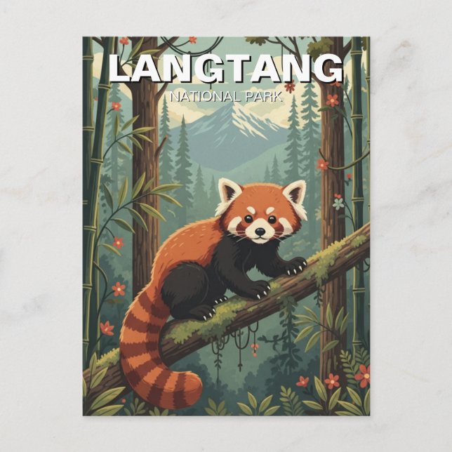 Red Panda in Langtang National Park Nepal Postcard (Front)