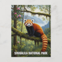 Red Panda in Singalila National Park Travel