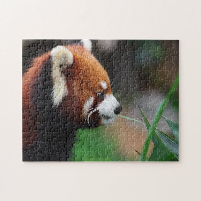 Red panda jigsaw puzzle (Horizontal)