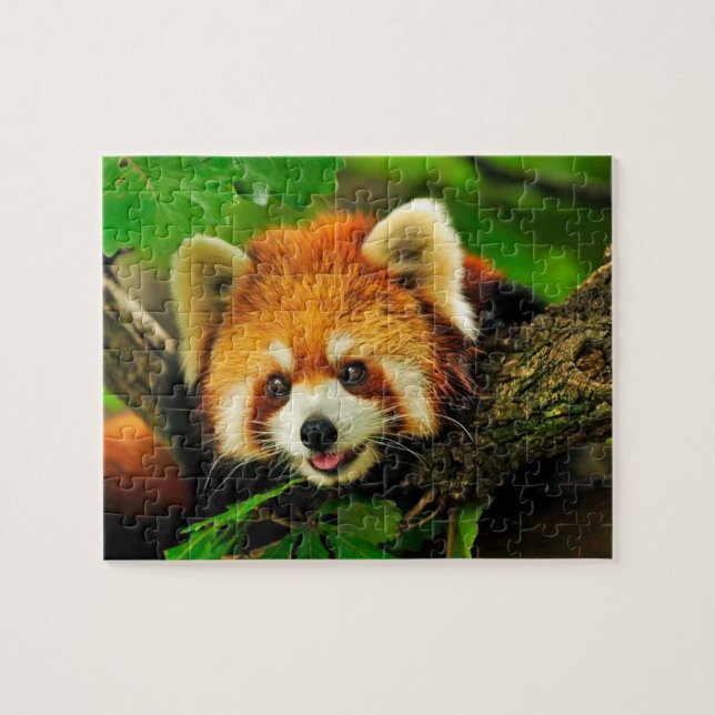 Red Panda Jigsaw Puzzle (Horizontal)