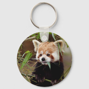 Red Panda Key Ring