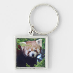 Red Panda Key Ring