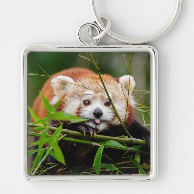 Red Panda Key Ring (Front)