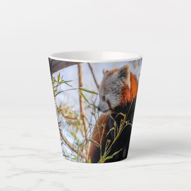 Red panda latte mug (Front)