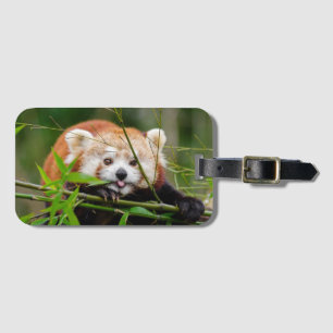 Red Panda Luggage Tag